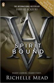 VAMPIRE ACADEMY BOOK 5: SPIRIT BOUND