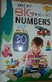 MY FIRST BIG BOOK OF  NUMBERS