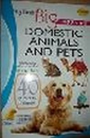 MY FIRST BIG BOOK OF  DOMESTIC ANIMALS AND PETS