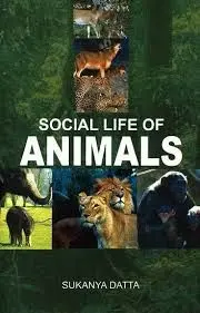Social Life of Animals