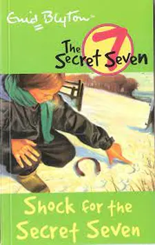 Secret Seven: Shock for Secret Seven